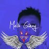 melih.gnay56