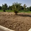 aesar.123456789