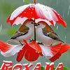 harti.mark
