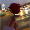_alya_188