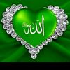 hanan.ahmed.amin