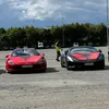 marko_trp