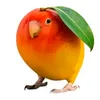 kittygamerzg5429