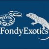 fondyexotics