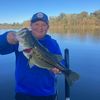 zeke_bassin