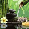 devika_thomas7