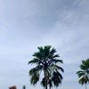 satria_07050