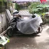 albert.devera36t