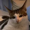 kenf_74
