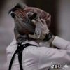 ↡˹ 𝒇𝒎شريان⤶.•