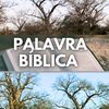 palavra.biblica.t