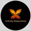 infinity.nepenthe