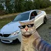 den_anrip3