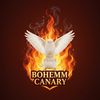 bohemmcanary_