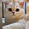 rasya.rasya9284