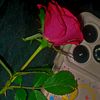 alisha__khanz