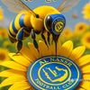 alnasr.alalmy