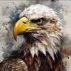 eaglelawin