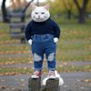 gatito.post.88
