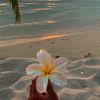 rosy_rose54
