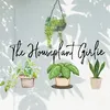 thehouseplantgirlie