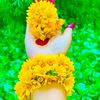 ovimani.mon9794