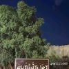 ayman.5184