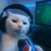 1battlefield1