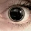 murko_3