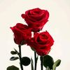 marthap0206