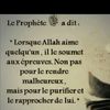 cheikhoumar937