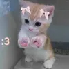 masadlhidmw