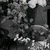 danielzzk50