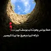 user9113363350126