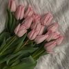 hajar.bamba