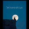 user481370091