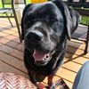 oliviahousten_16