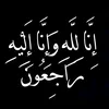 aminsaydi8
