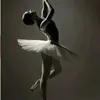 ddddna12_