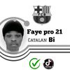 faye.pro.21