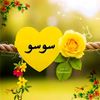 user5612559127421