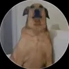 hussinplaysdonutsmp