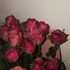 deemajafar7