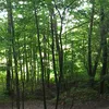 bazabielsko