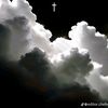 thiago.gauto561