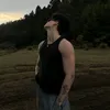 alzm313