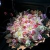 yara.ashraf357