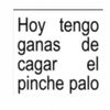 pinche_cagua_palos