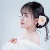 pinkpig0812