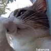_jiyaaaana